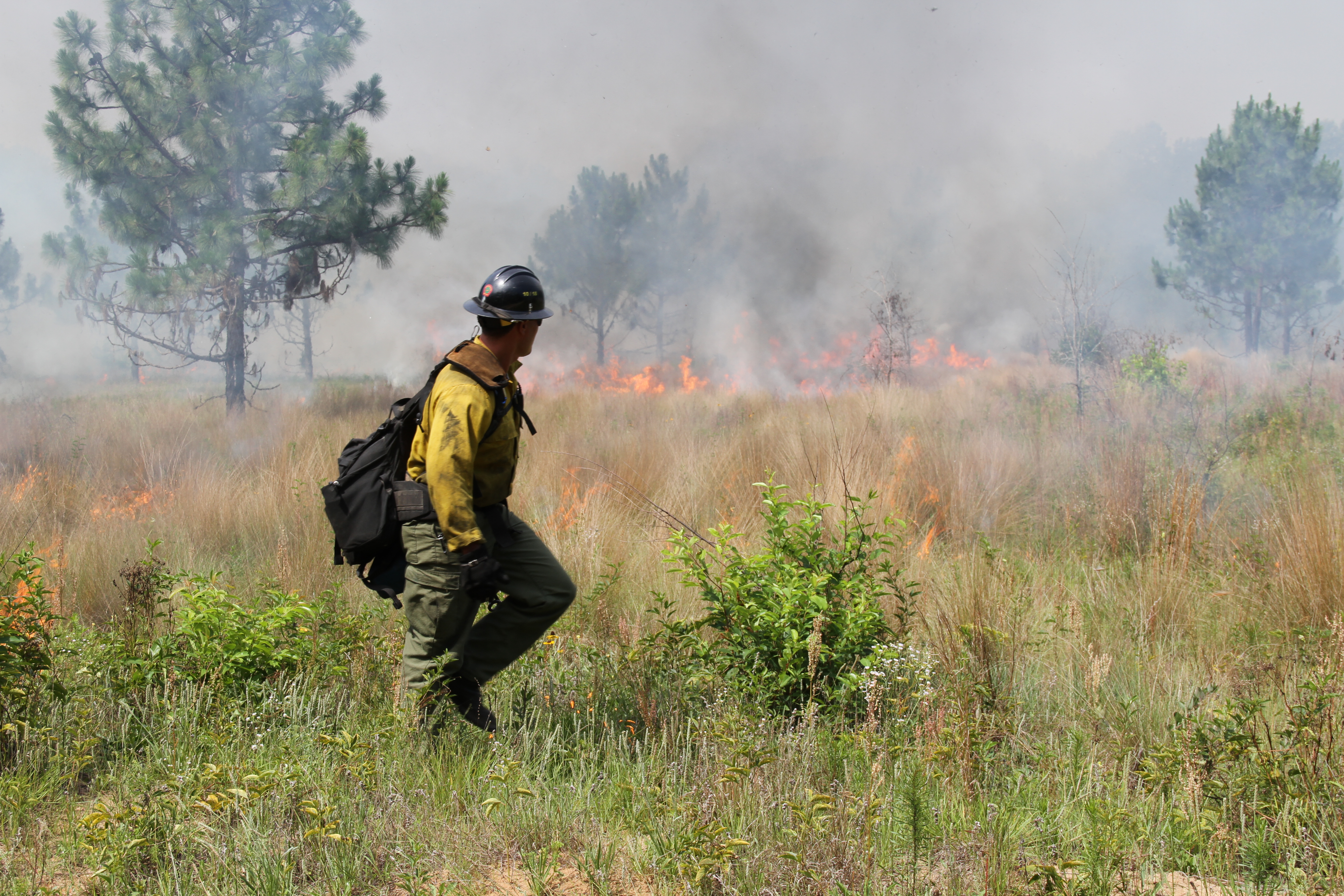 Prescribed Fire in Southeast