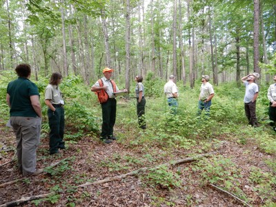 Fire and Forest Management Fieldtrip